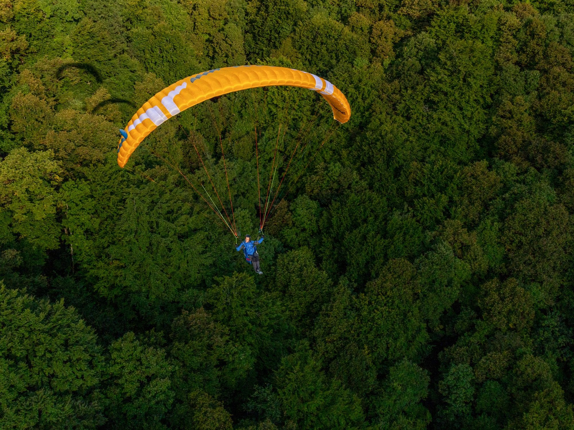 Alta GT (EN-A) - Obrázek 5